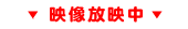ff
